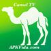 Camel TV
